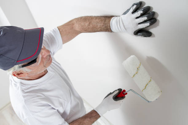 Best Post-Construction Mold Inspection  in Phillipsburg, KS