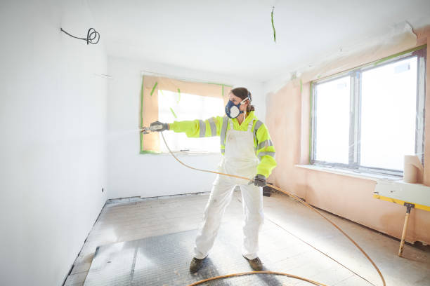 Best Asbestos and Lead Testing During Mold Inspection  in Phillipsburg, KS