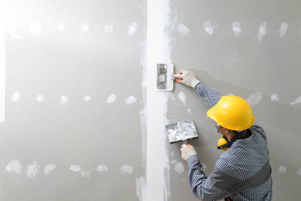 Best Mold Removal for HVAC Installations  in Phillipsburg, KS