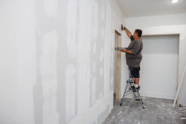 Best Forensic Mold Investigation  in Phillipsburg, KS