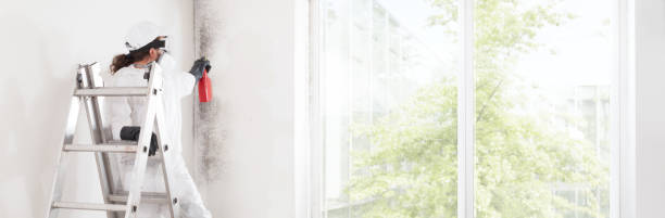 Best Dehumidification Services  in Phillipsburg, KS